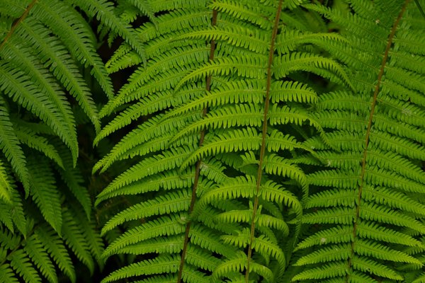 Comment les influenceurs de mode redéfinissent la mode française